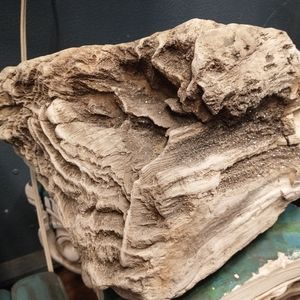 Petrified Wood Stump